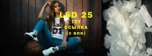 PSILOCYBIN Абаза
