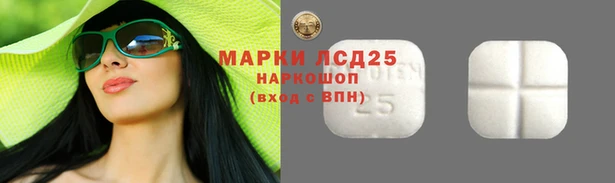 PSILOCYBIN Абаза