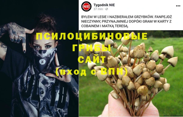 гашик Абдулино