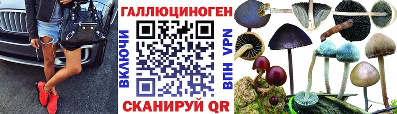 цены наркотик  Ростов-на-Дону  Псилоцибиновые грибы прущие грибы 
