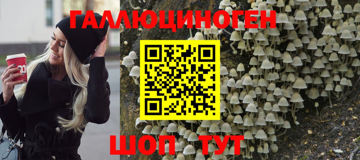 Ростов-на-Дону  Псилоцибиновые грибы Psilocybe  Вход с VPN 