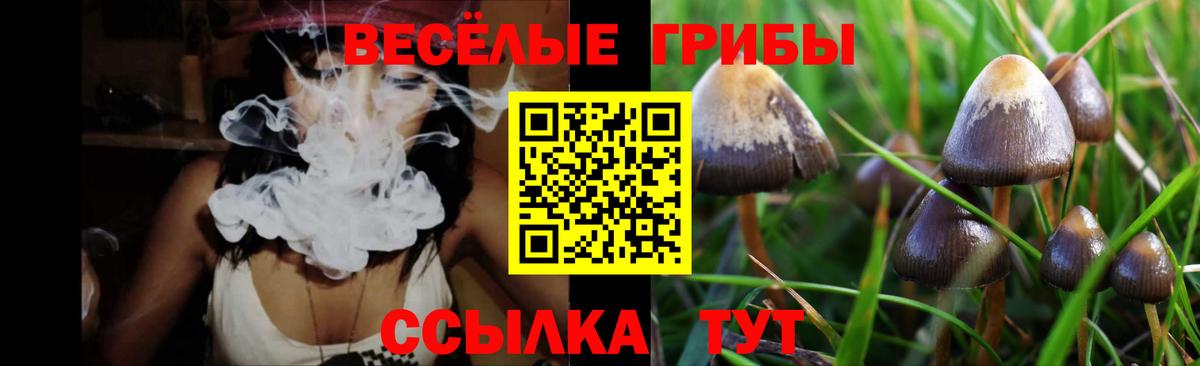 Галлюциногенные грибы Cubensis Ростов-на-Дону